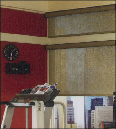 Graber Light Weaves Sun Control Solar Shade with Continuous Loop Control Clutch with Rain Style 10% Open Fabric