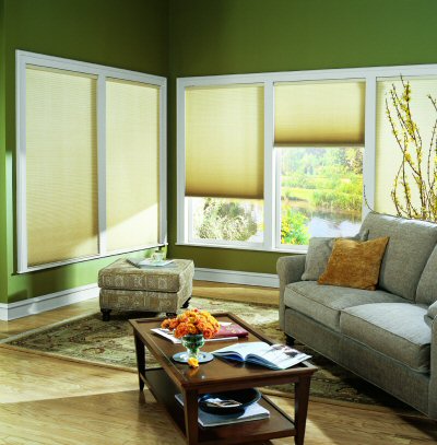 single cell, translucent, acclaim, super value